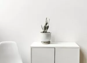 Style and Innovation Steal the Spotlight at the 47th Canadian Furniture Show 15 blog 1